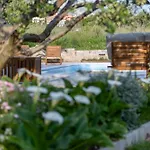 Villa Olives Garden By Istra Vacation Kučine