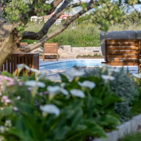 Villa Olives Garden By Istra Vacation Kučine