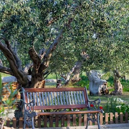 Olives Garden By Istra Vacation Villa Kučine